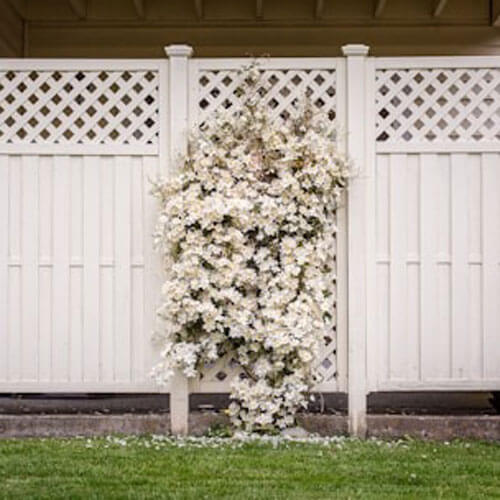 Photo 1521401707913 31dbbe09ca2c